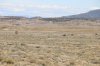 townsite.JPG townsite.JPG